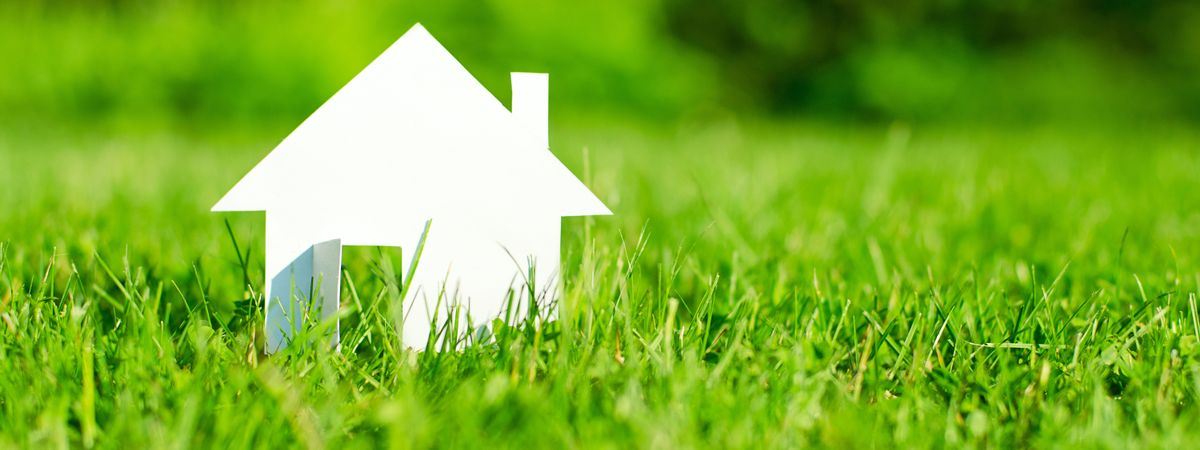 InfoSublime's tweet photo. How to Create a Toxin-Free Home For Your Family…😉 - https://t.co/57wrNDKHiY https://t.co/BHR5ifYvHD