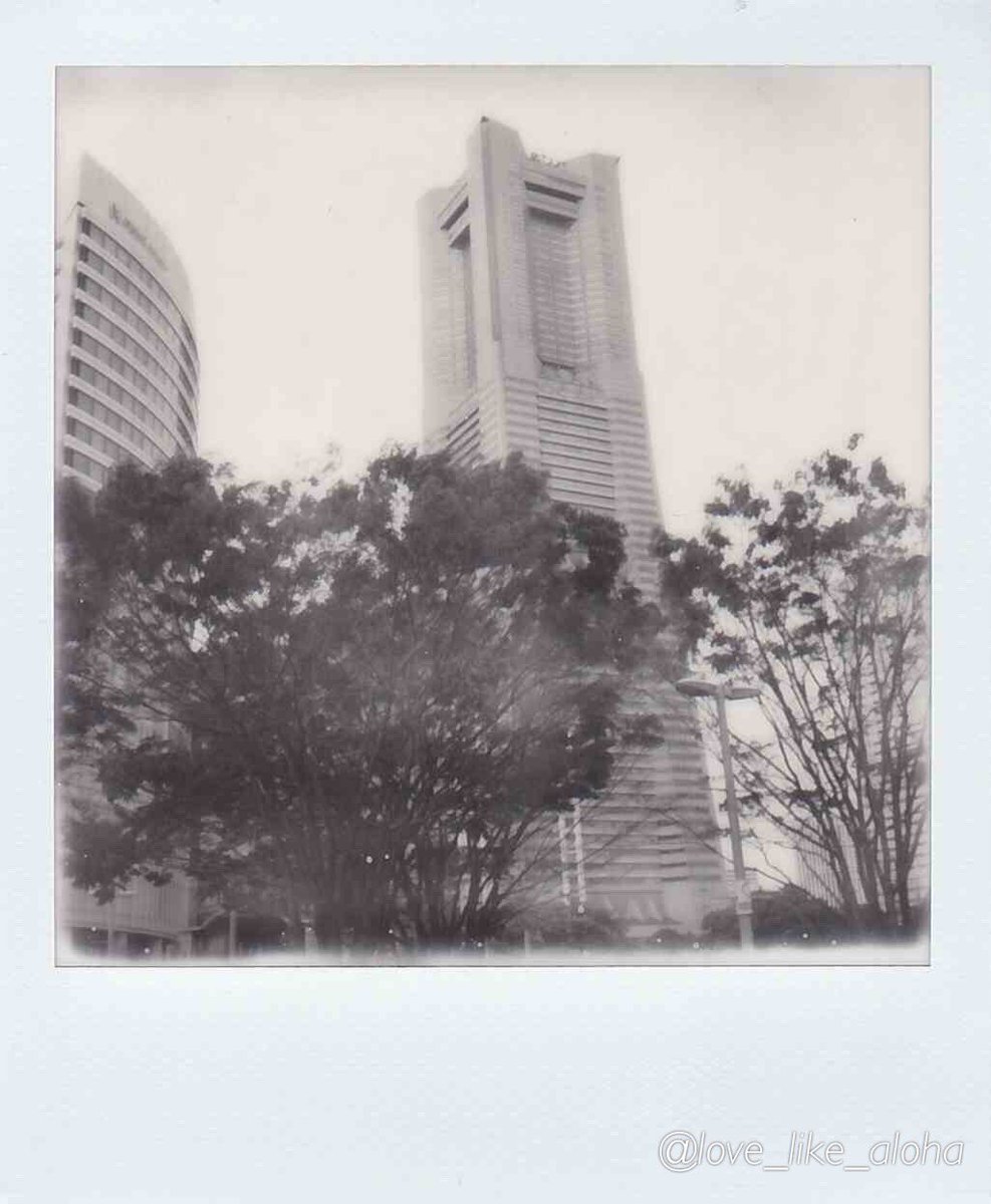 love_like_aloha's tweet image. お写ん歩

Polaroid SX-70

#ファインダー越しの私の世界
#キリトリセカイ
#ポラロイドオリジナルズ
#モノクロ 
#monochrome
#Polaroid_SX_70