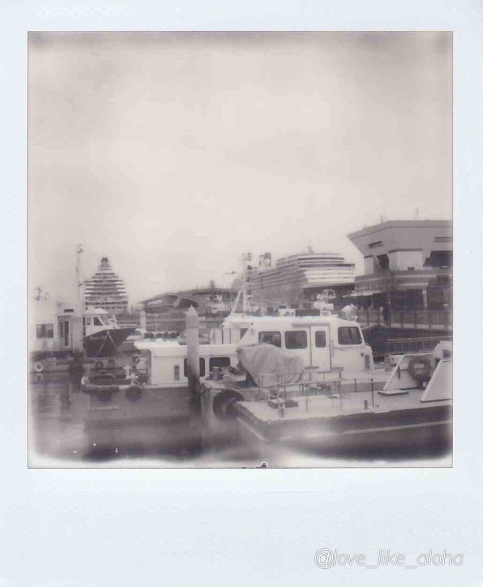 love_like_aloha's tweet image. お写ん歩

Polaroid SX-70

#ファインダー越しの私の世界
#キリトリセカイ
#ポラロイドオリジナルズ
#モノクロ 
#monochrome
#Polaroid_SX_70