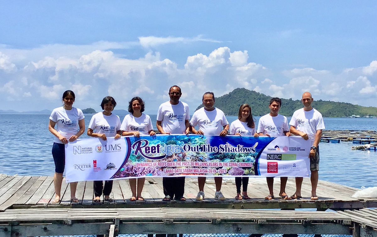 NHM Corals tweet media