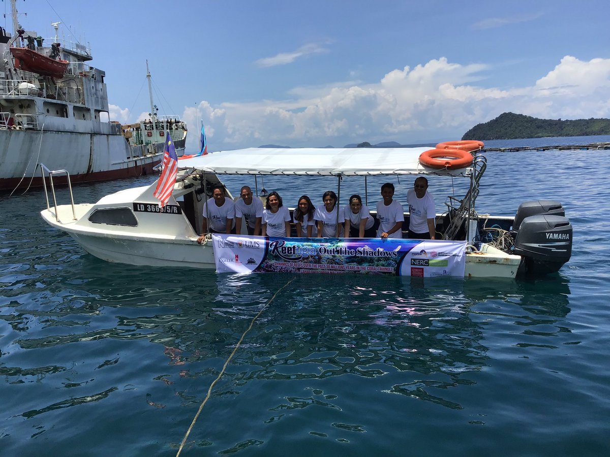 NHM Corals tweet media