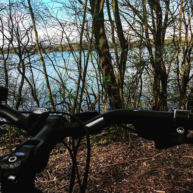 Cskoyles's tweet photo. I missed this :) π΅ββοΈ π² π²
#viewfrommyhandlebars #mtb #mtblife #mountainbiking #outdoors #freshair #freshairtherapy #grateful #gratitude #cycling #mountainbikelifestyle #bikeride https://t.co/jahTZXkdoJ https://t.co/dgPhRG2JJd