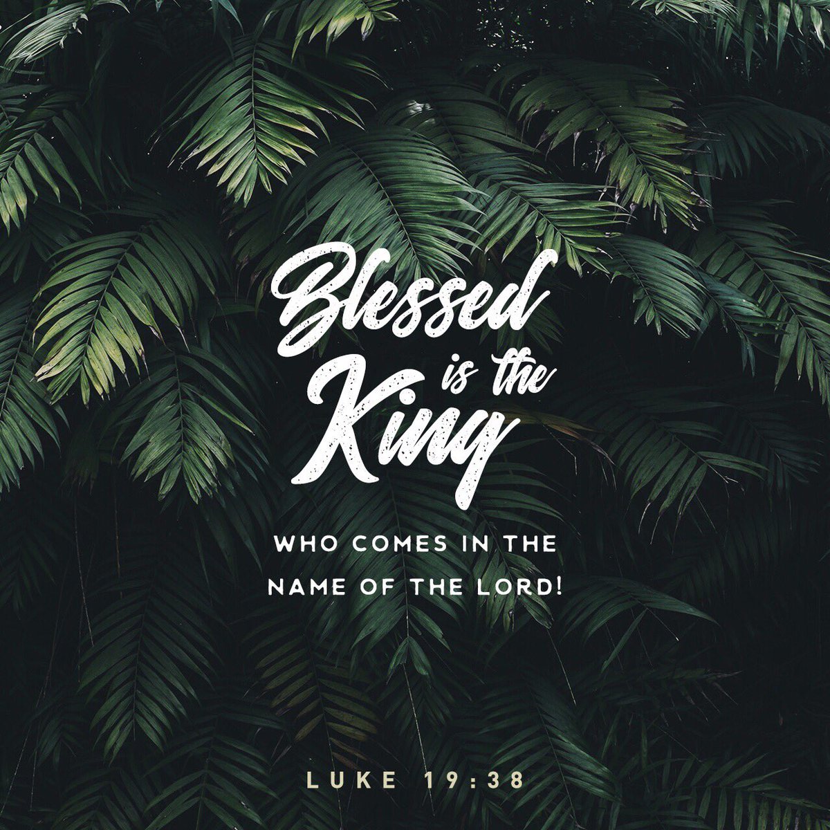 CFimpact's tweet photo. ““Blessed is the king who comes in the name of the Lord!” 

“Peace in heaven and glory in the highest!””

Luke 19:38 NIV 

✝️=❤️

#PalmSunday 
#EasterAtCF https://t.co/7hguUGOB10