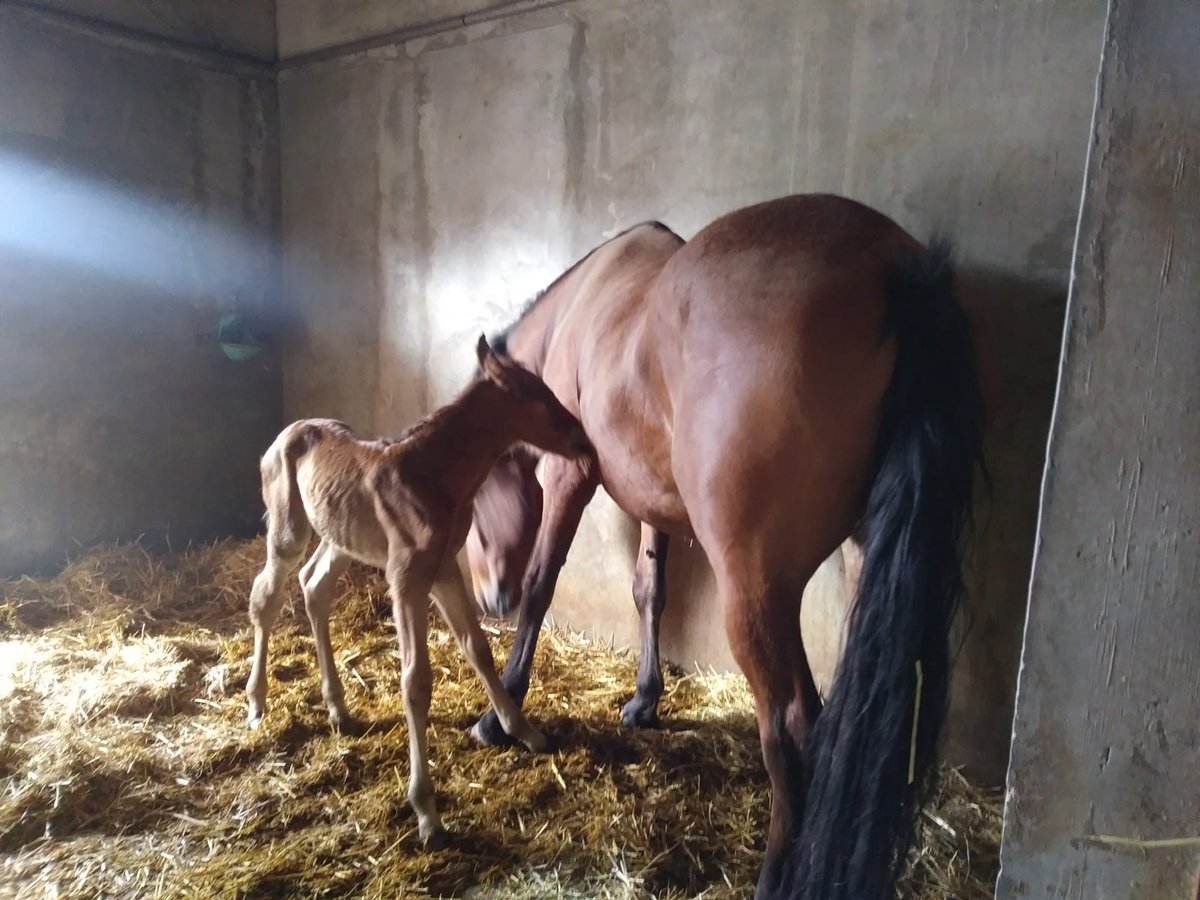 IES SAN ISIDRO tweet media