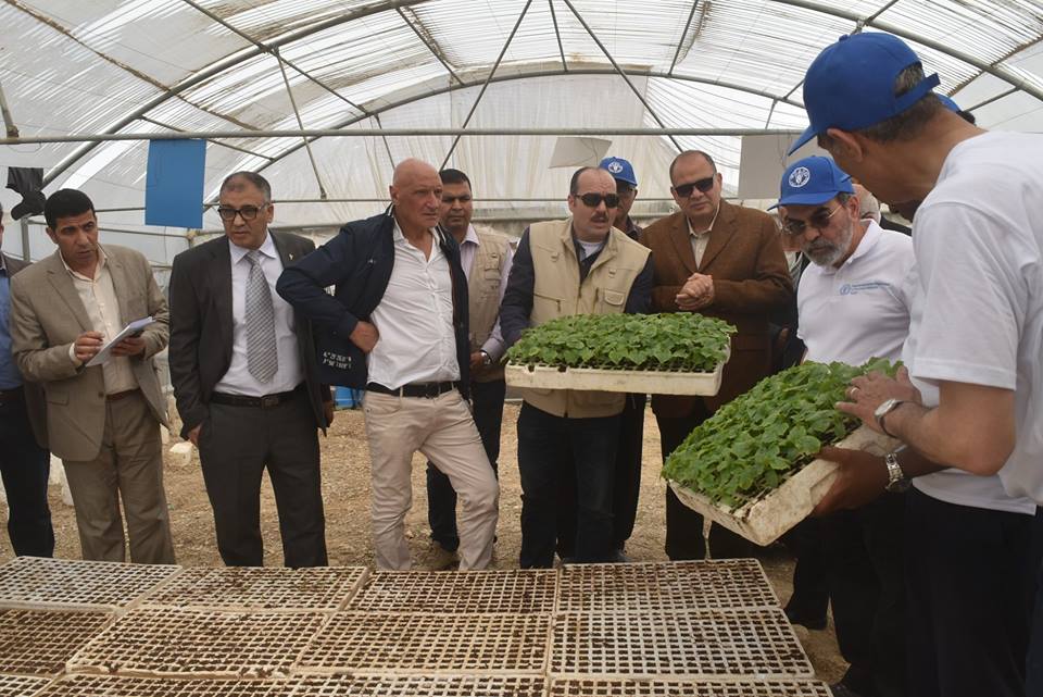FAOEgypt's tweet photo. الممارسات الزراعية الجيدة تصب في مصلحة 👨🌾👩🌾، وتُسهم في زيادة إنتاجية المحاصيل 🍅🥒🌶️🥬 مما يؤدى إلى تحسين مستوى المعيشة للعاملين
للمزيد 👈 https://t.co/4uRKLBOvA8
#القضاء_على_الجوع #LWDays https://t.co/s0BRnNZpF1