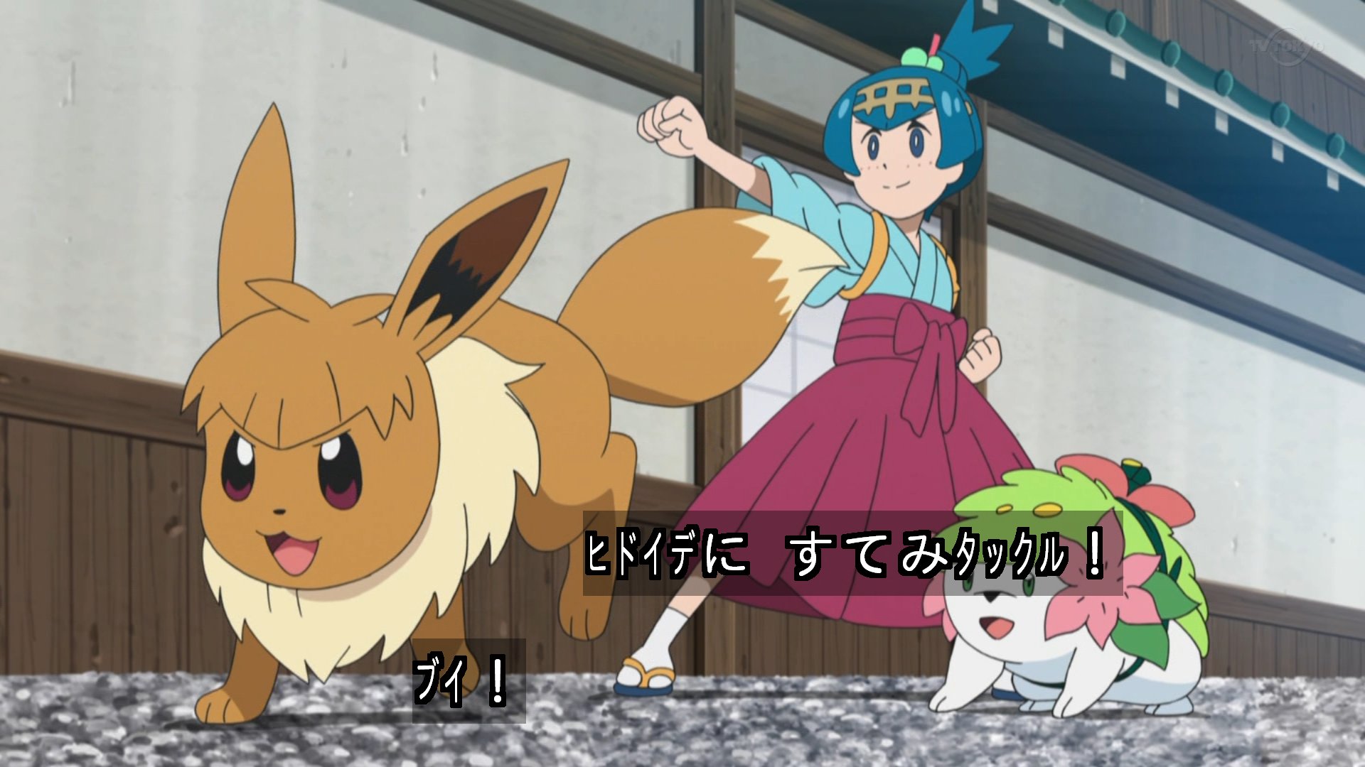 Zexy すてみタックル アニポケ Pokemon Sunmoon117 T Co Lb7qhluhvo Twitter Zexy すてみタックル アニポケ Pokemon Sunmoon117 T Co Lb7qhluhvo Twitter