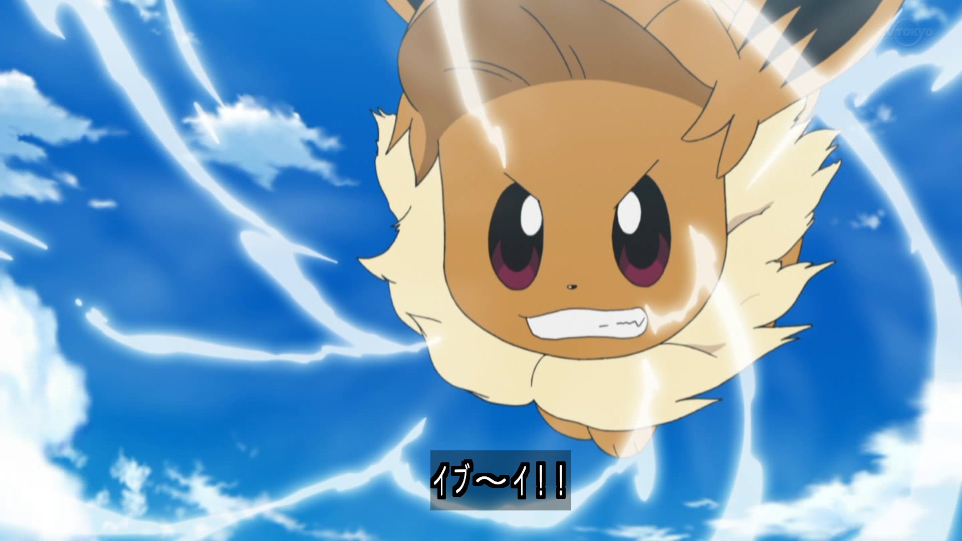 Twitter 上的 Zexy すてみタックル アニポケ Pokemon Sunmoon117 T Co Lb7qhluhvo Twitter
