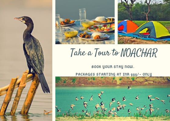 ReactionWild's tweet photo. Noachar provides you the opportunity to relax, travel and enjoy in the land of https://t.co/PmgFPvcYU7 can have a comfortable stay by availing our well furnished homestay.Hold your excitement and book a trip to Noachar with Wildreaction. #noachar #wildreaction #adventure #nature https://t.co/QHXjg5oncI