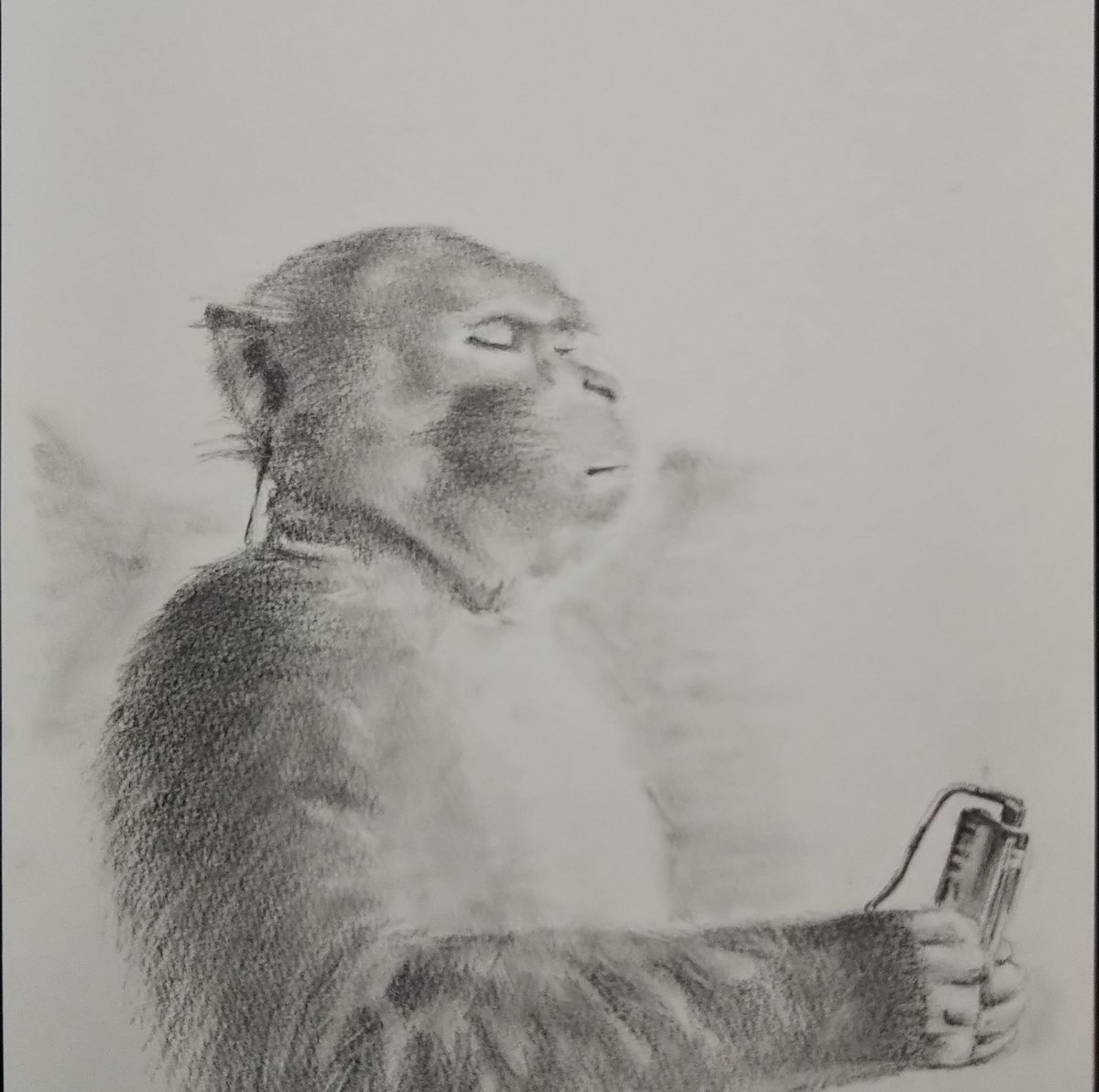 #DeadLeaf がながれると 頭の中に必ず昔のウォークマンのCMのお猿さんが現れて 一緒に聞き入っている。

#POPVIRUS
#お絵描き #イラスト #鉛筆画 