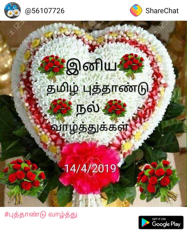Malini33736676's tweet photo. Only  gril chat no boys ok https://t.co/F2dJJ1oolV
