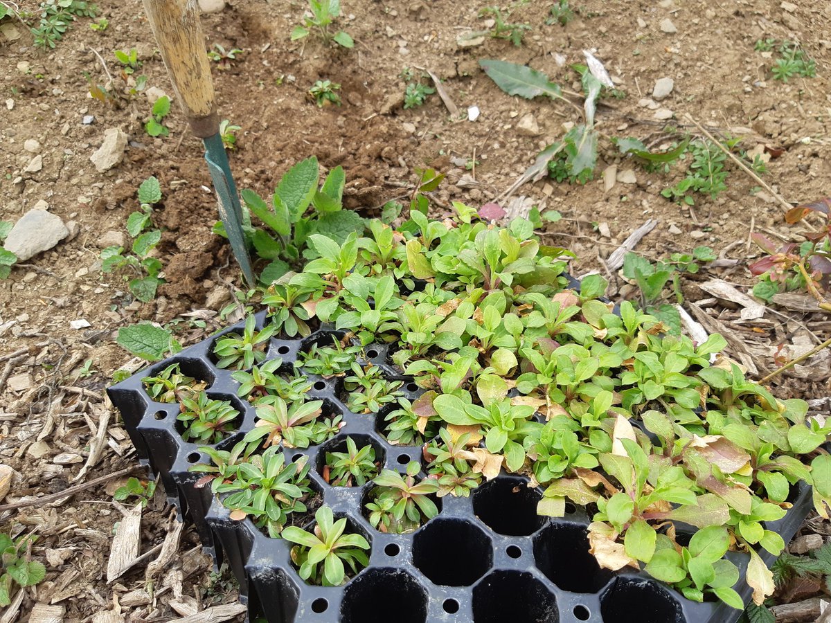 Andrew Whitehouse 〓〓 tweet media