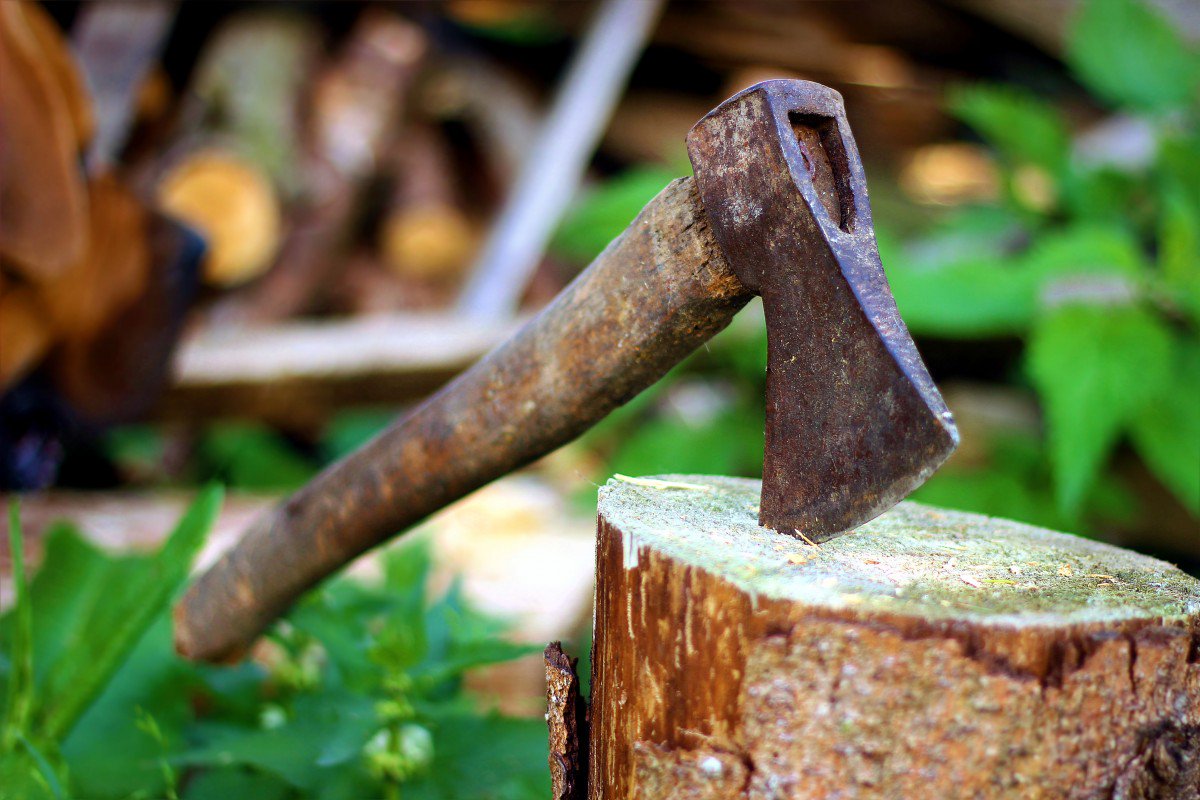 DRatemo's tweet photo. The forest was shrinking, but the trees kept voting for the axe, because it's handle was wooden and they thought it was one of them 😭
#MtotoWetu https://t.co/Ddtz3orxoB