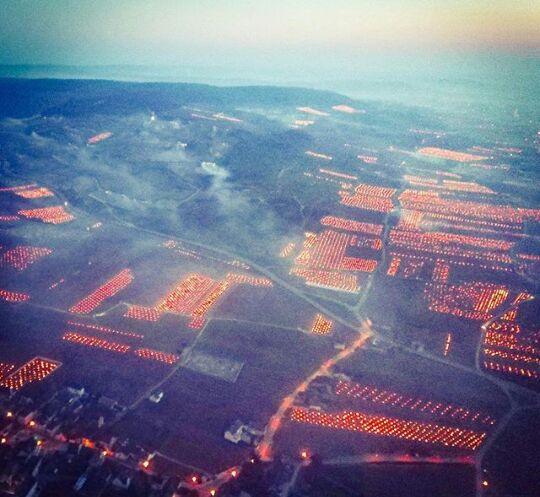 #Bourgogne #ChassagneMontrachet #PulignyMontrachet #Chardonnay #LutteGel #FightingFrost via #VincentDancer #wine