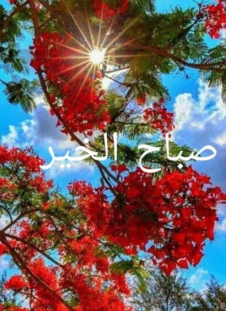 CrectinaM's tweet photo. Good morning  to  lovyo wonderful  to yo.  A THNX YO. 💟💋💛💛🌷🍒🌹💋🌶❣🔥❎❣ https://t.co/nVso17GZi4
