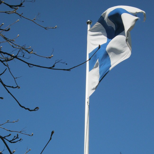 In #Finnland ist heute #Wahltag. Ein offizieller #Fahnentag intermin.fi/suomen-lippu/l…