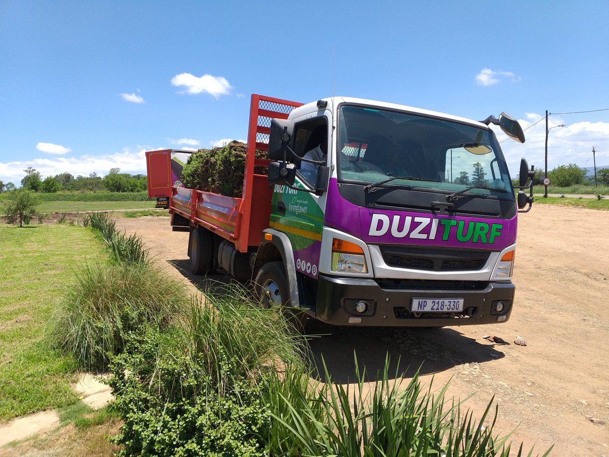 Duzi Turf (@DuziTurf) / Posts / X