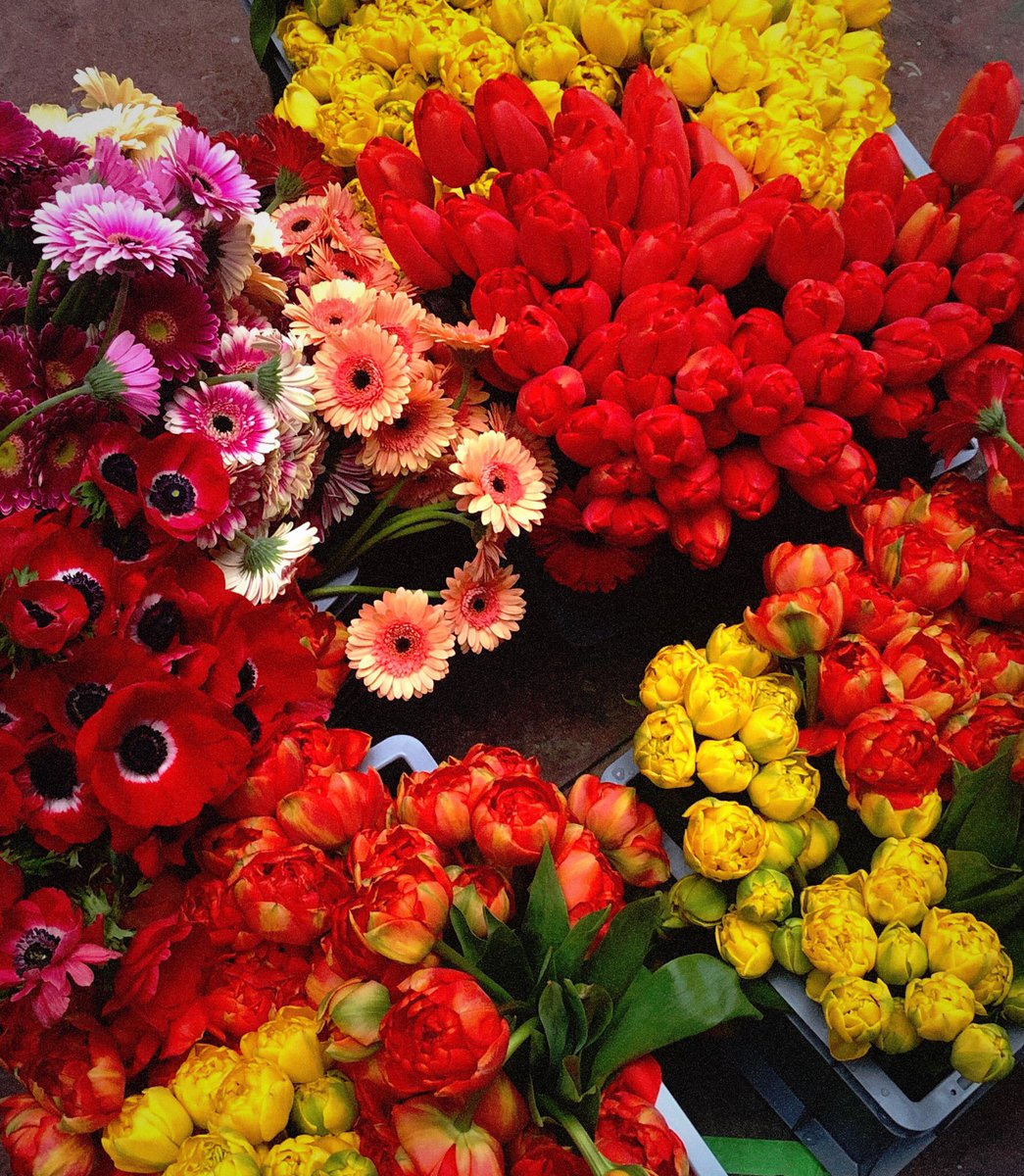 hobrecht59's tweet photo. HEUTE 14.04. 15Uhr
#OFFENESWOHNZIMMER in der Hobrechstr.59 #Kaffee, #Kuchen & #Blumen für alle! ✊
#hobrecht59 #mileuschutz #mietenwahnsinnstoppen #berlinkaufdichzurück #gemeinsamsindwirstark #irgendwieflowerpower #makeprotestbeautifulagain https://t.co/416xPBVDqt
