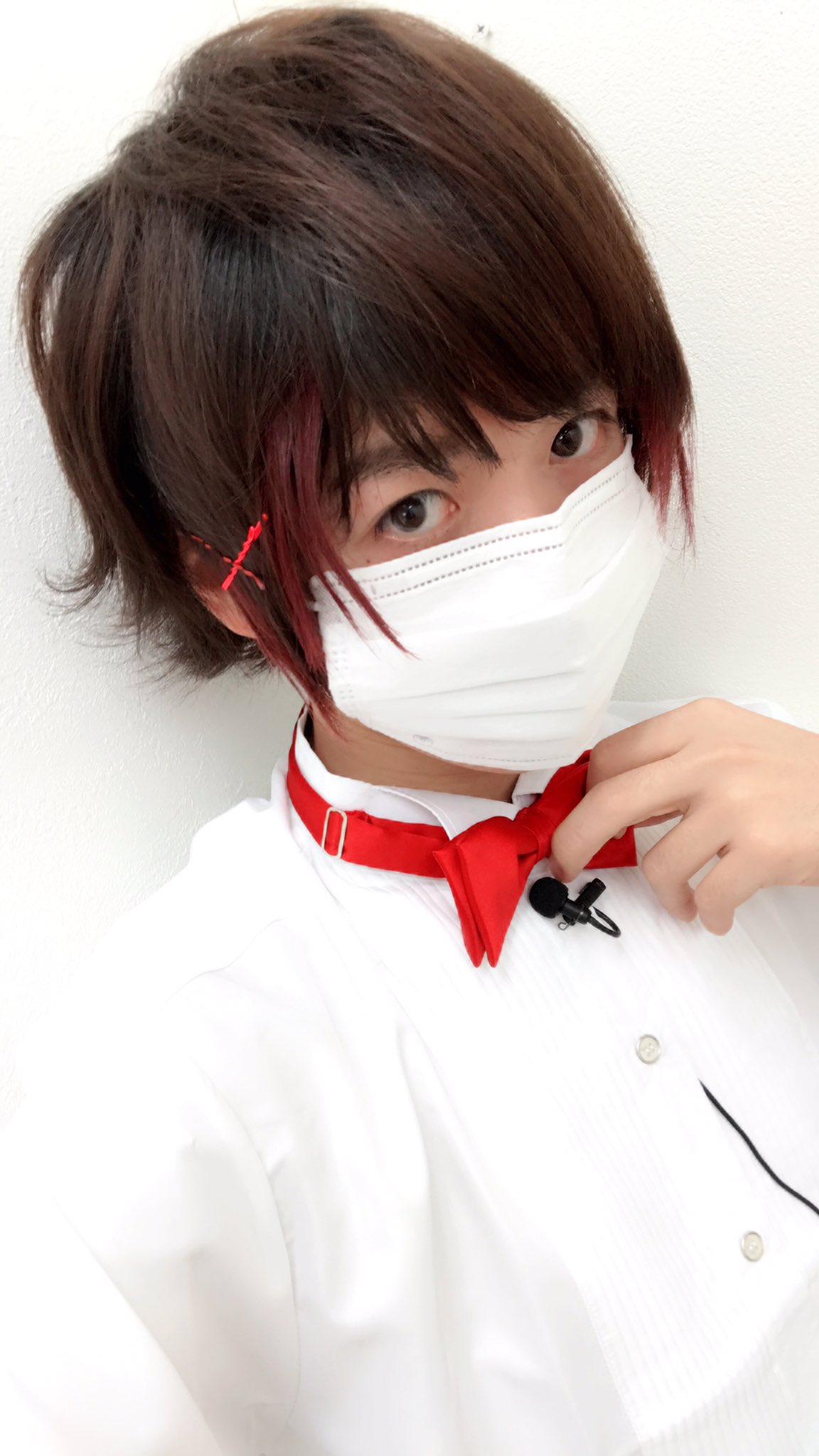 あほのさかた 蝶ネクタイ可愛いでしょ T Co J19xhbp1ja Twitter