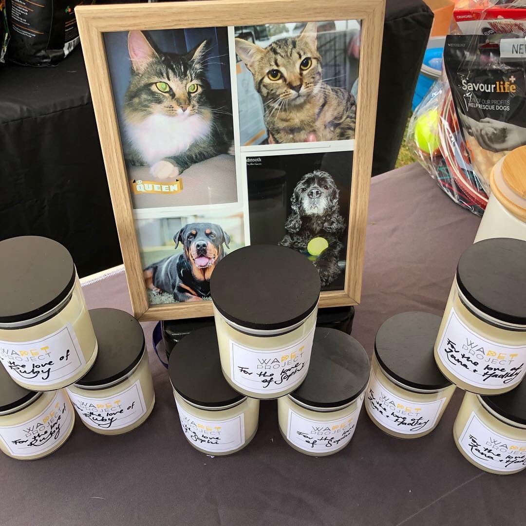 WA Pet Project tweet media