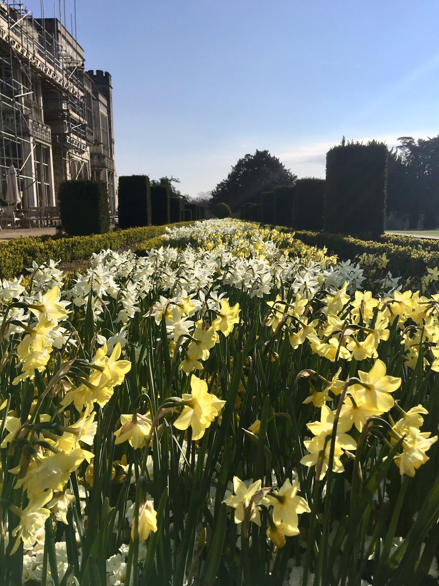 leeotoole99's tweet photo. Morning @AshridgeHouse https://t.co/GmIonZF6a3