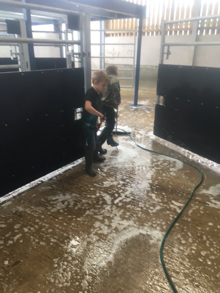 Gildertransport's tweet photo. We love the School Holidays Henry &amp; Tom Gilder busy washing &amp; disinfecting the #Lairage  #Livestock collection centre #Milking station https://t.co/MBtLO1uCPA