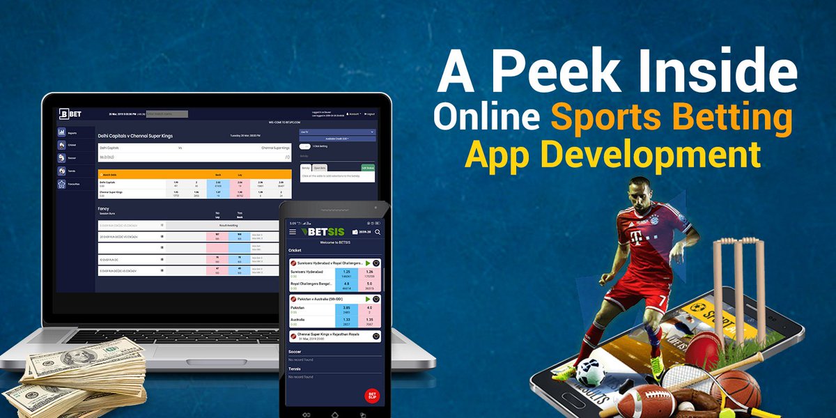 professional sports betting software programs