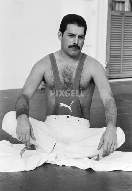 mercurysarchive's tweet photo. Freddie Mercury posing for @voguemagazine – Sanremo, Italy, 1984.
#FreddieMercury https://t.co/YsAfOG2oSO
