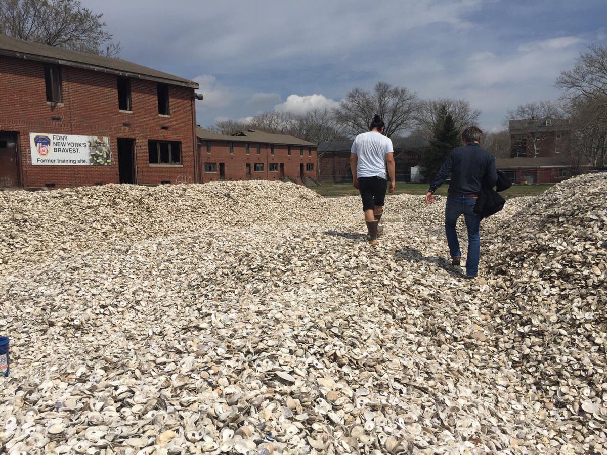 WaardenburgEco's tweet photo. #BureauWaardenburg and #BESEproducts visiting #Billionoysterproject and #NYharborschool to exchange knowledge about #oyster restoration and testing bio-degradable ecosystem restoration products. #Governorsisland
#offshore #2019IPF #WindWaterWorks #Naturerestoration Carter Craft https://t.co/lNYvLGdZMU