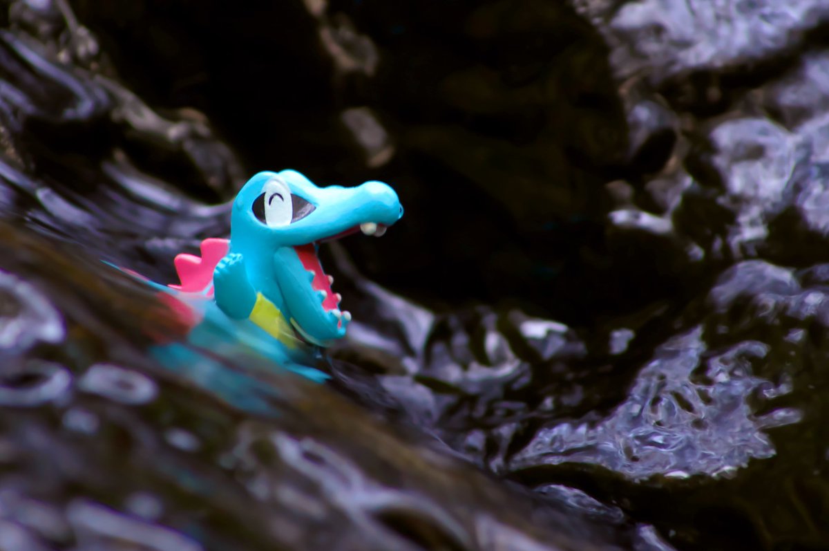 リアポケ No 158 ワニノコ Totodile いつもの場所 ポケモン写真 ポケモン野外撮影 Toyphotography Pokemon Realpokefinder Realpokemonsnap リアルポケファインダー リアル ポケモンスナップ ポケモンテラリウムコレクション T Co