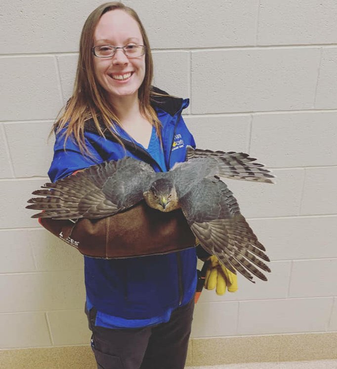 HSElkhartCounty's tweet photo. At the end of a crazy-busy week! We need to take a moment and celebrate our Animal Control Officers! They have a crazy job that never is boring. Thanks to Ben, Dave and Brittani for grabbing injured skunks, running through the mud and then some for all animals in need! #ACOweek https://t.co/3yJFCozKy0
