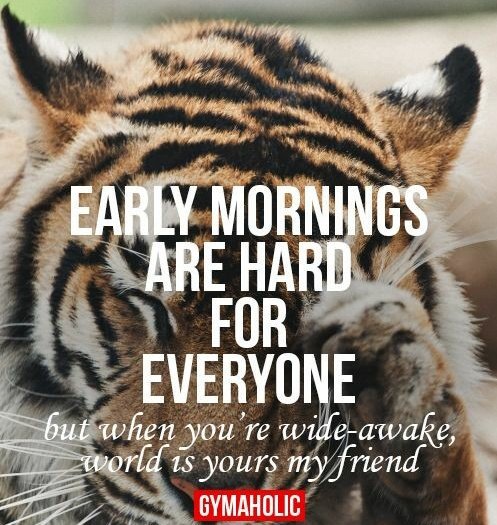 ChaneyCoaching's tweet photo. #ThinkBigSundaywithMarsha #5amwritersclub #SundayMorning #Born2Create #writerslife #WritingCommunity #AmWriting https://t.co/ZFPInLyqjJ