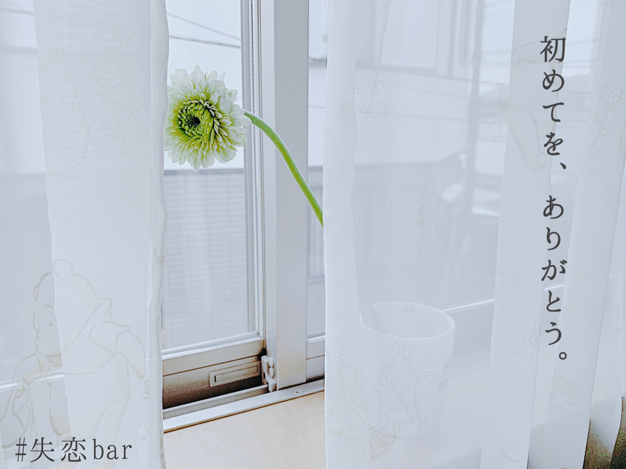 恋バナのしおりん 昨日は 失恋バー で 生まれて初めて一輪挿しの花を頂いた 私の最期の失恋はもう2年も前 別れてもずっと体の関係のあった元カレに 次の好きな人ができた時 初めて中折れされたんです これで終わりだね と言って帰ったきり