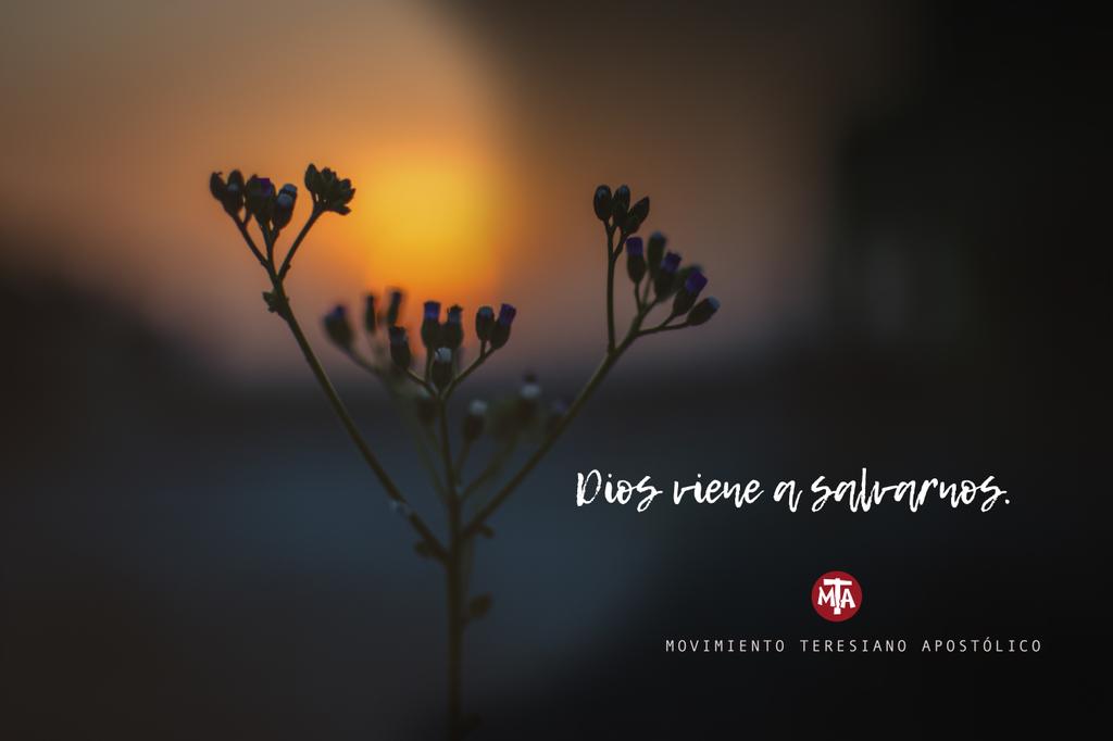 MTA_Esp's tweet photo. Iniciamos la semana santa con el #DomingoDeRamos
En el siguiente enlace puedes encontrar la reflexión de hoy.
 https://t.co/0PAuYuLX35 https://t.co/ry5ToJV2rj