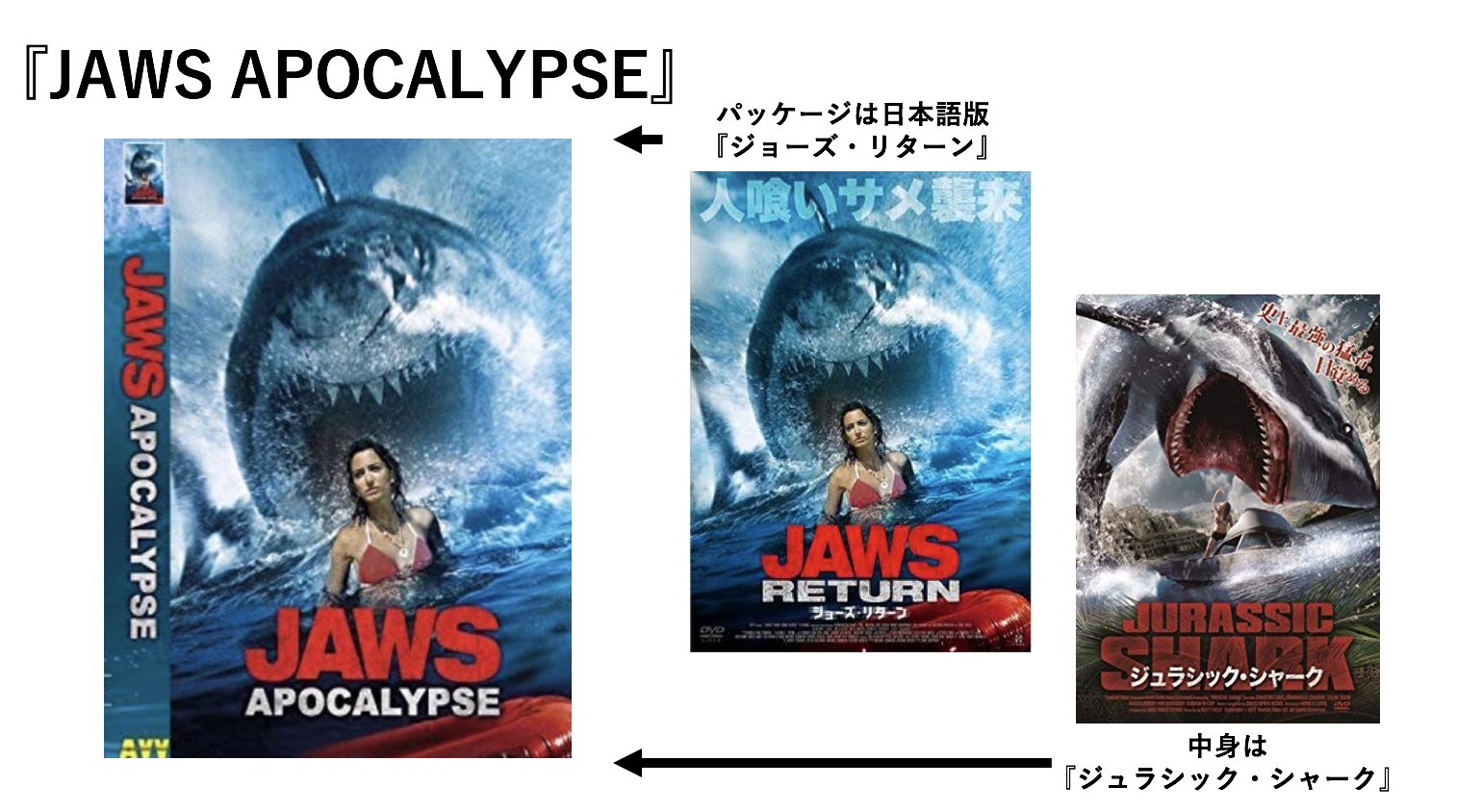 サメ映画ルーキー パクりパクられが常態化しているサメ映画ですが 一番混迷を極めているのは間違いなくドイツのサメ映画市場だと思います とりあえずjawsというタイトルにしてパッケージは日本のモノを無断流用という無法地帯 著作権とは何だったのか