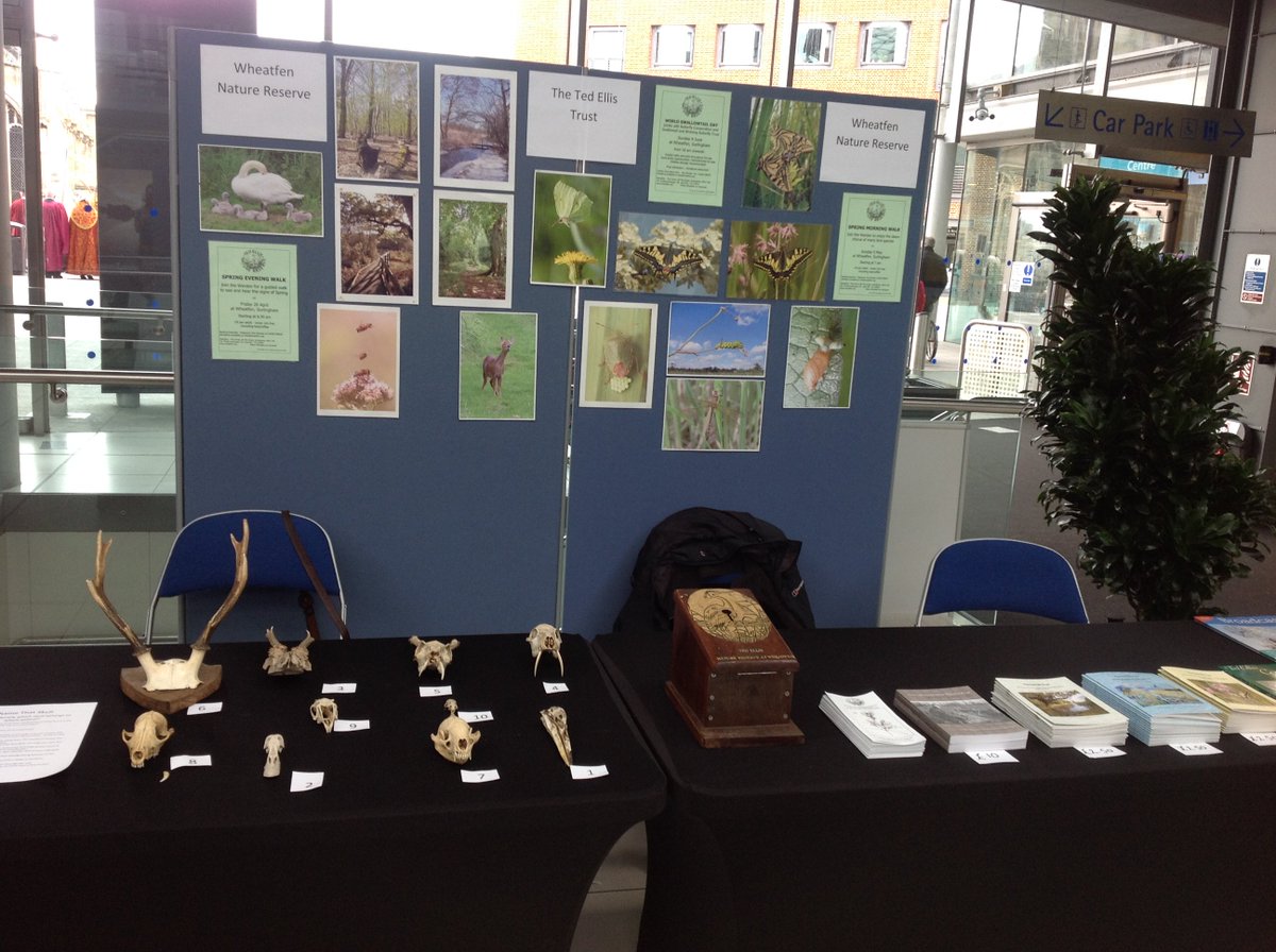 Norfolk Festival of Nature tweet media