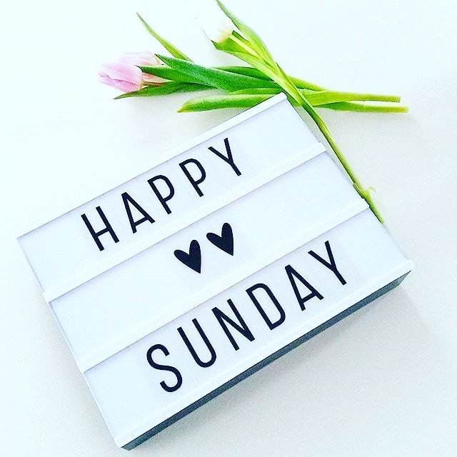 DBackdrops's tweet photo. Resting and sleep.  Must be Sunday!#DevaBackdrops #ChesterDeva #FlowerWall #FlowerWalls #FlowerWallHire #Chester #Cheshire #NorthWales #ChesterTweets https://t.co/xyveXPYG3P