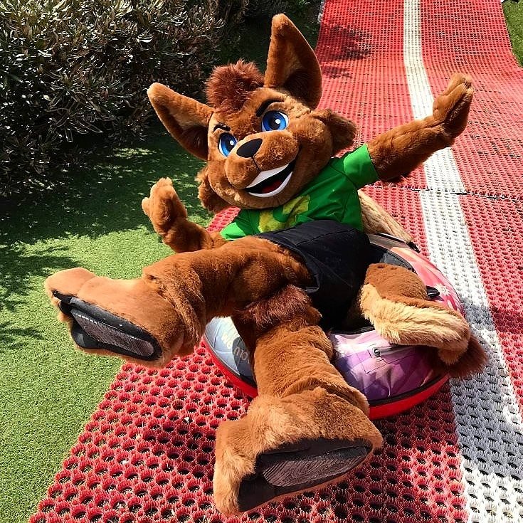 GRIMMLAND débarque sur Twitter ! 🐦