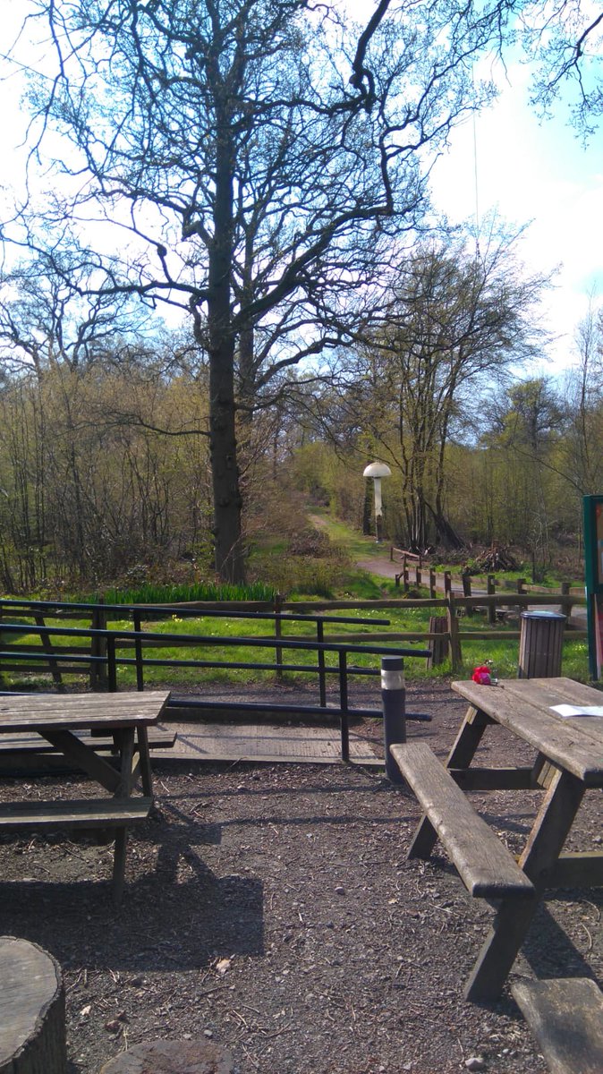 ParndonWood's tweet photo. Its a bright and beautiful Sunday morning in the ancient woodland. The view from our cafe courtyard is simply blissful. Come and get some nature therapy (and maybe cake!) at Parndon Wood Nature Reserve. https://t.co/lPb9nSLKQr