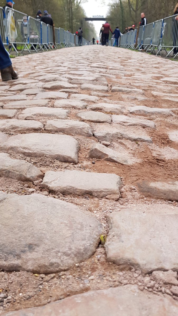 torepeng's tweet photo. Nyfikset brostein i Arenbergskogen? Neppe.. Værre enn før! @TV2Paasche Kjør pent her @dago2_lauritzen. Vi sees 😀 #parisroubaix https://t.co/Cdo4bgS7Ev