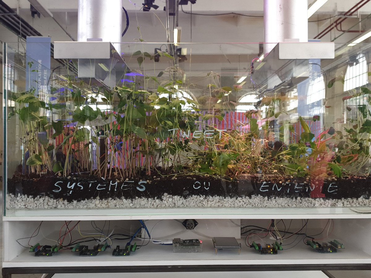 Aurélien Preto tweet media