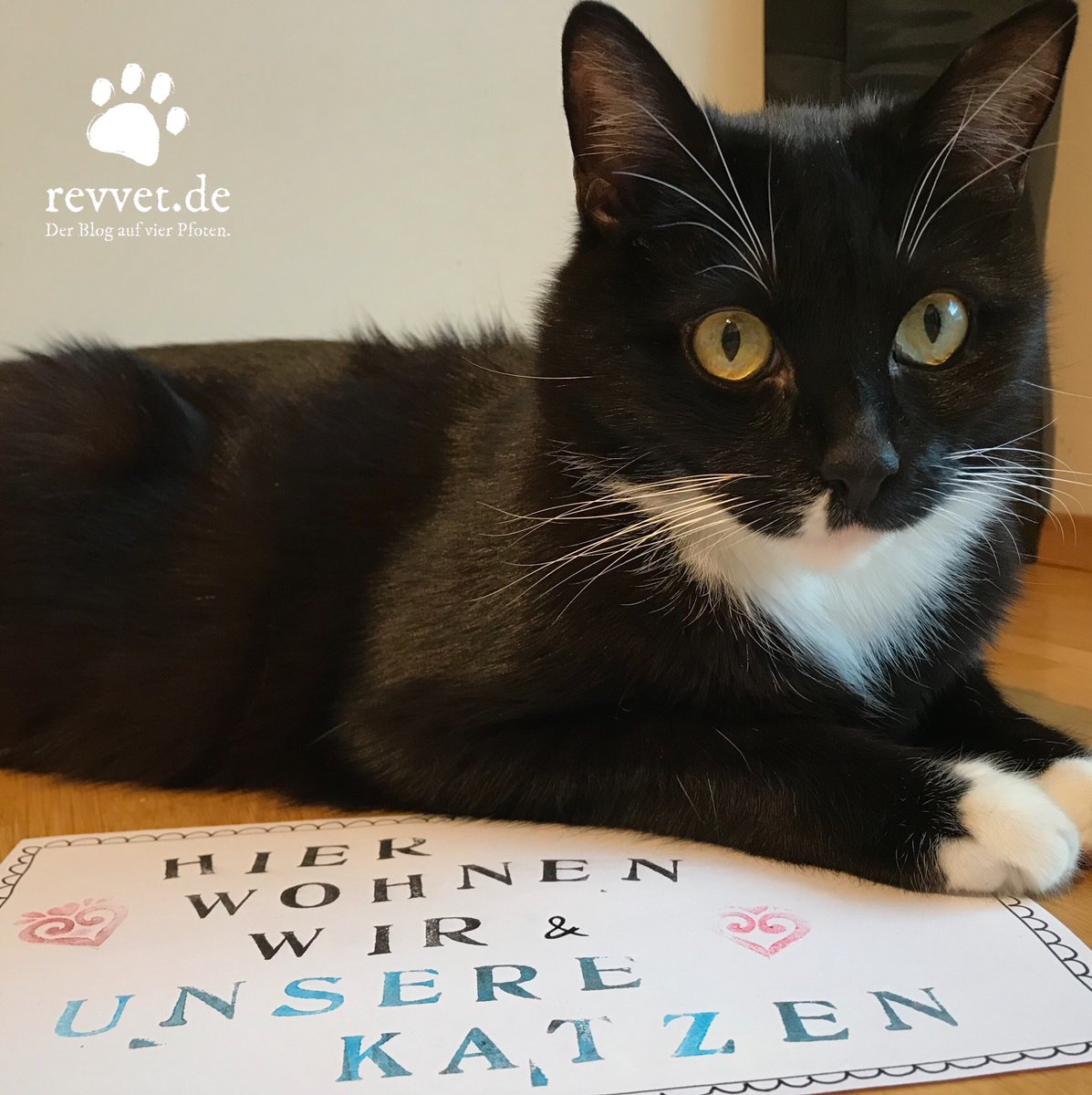 revvet.de tweet media
