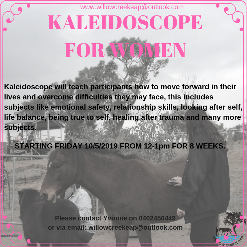 willowcreekeap's tweet photo. A wonderful program for Women 18+
Book in now as place are very limited.
#hooves4healing #womenonly #growingstrong https://t.co/VzlifZqVy5
