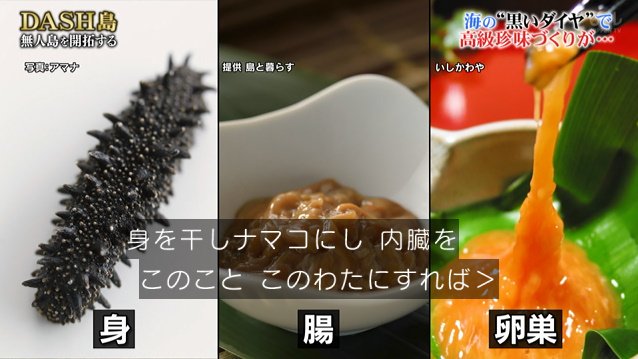 Dash島に新たな特産品が誕生 無人島のナマコで高級珍味 このわた このこ 作りに挑戦 鉄腕dash Togetter