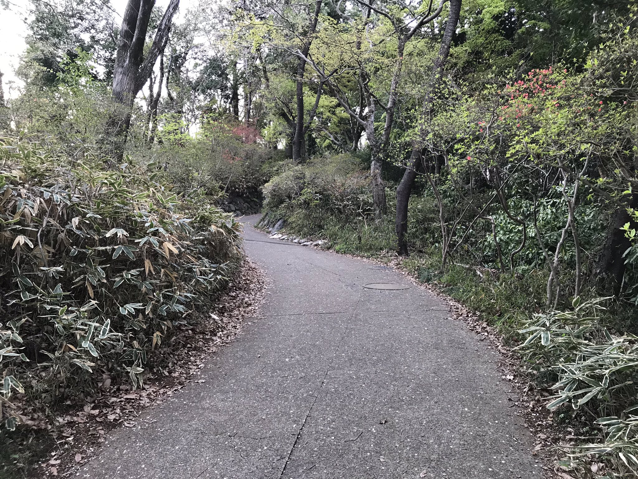 山人@耳すま on X: 