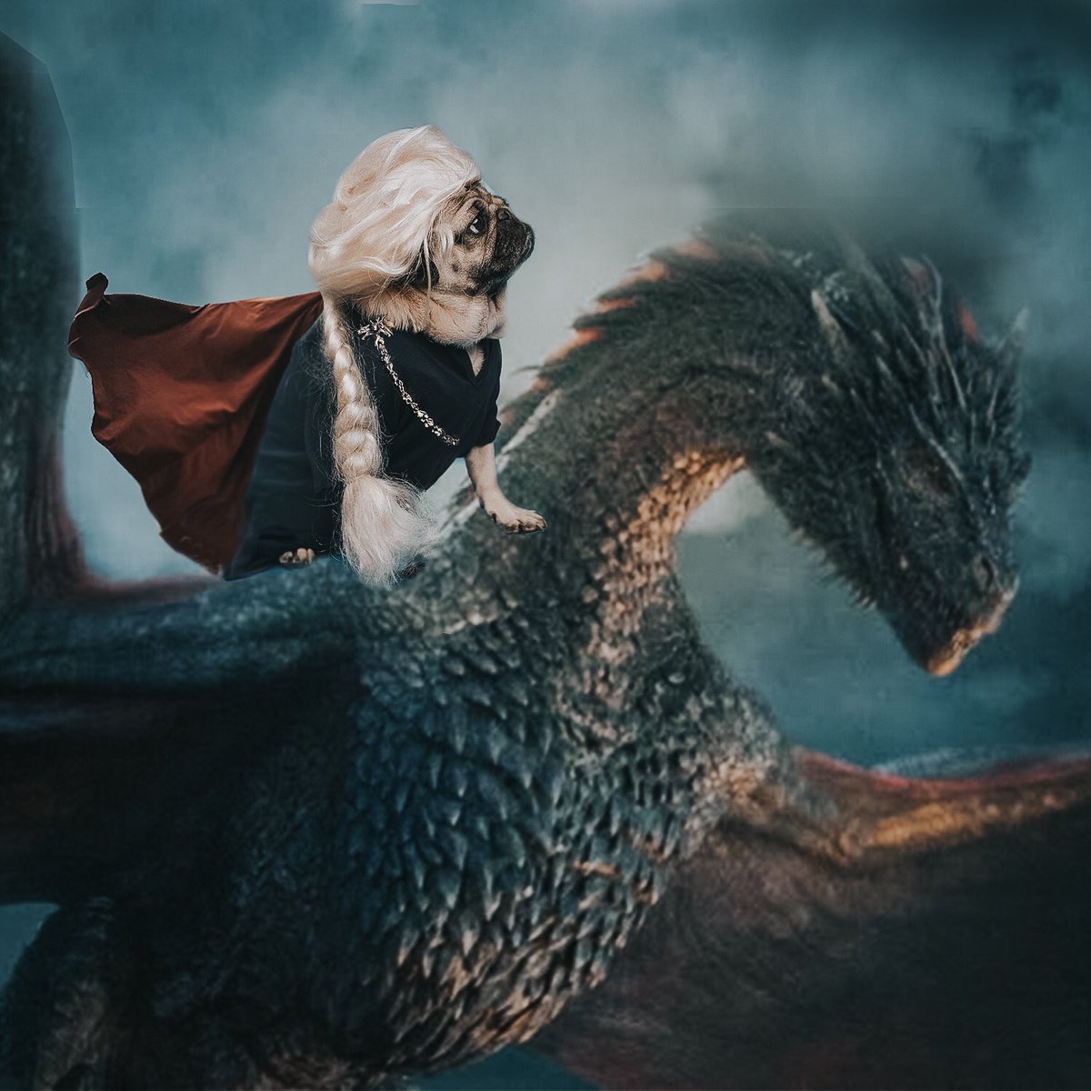 Pugger of Dragons 🐉
