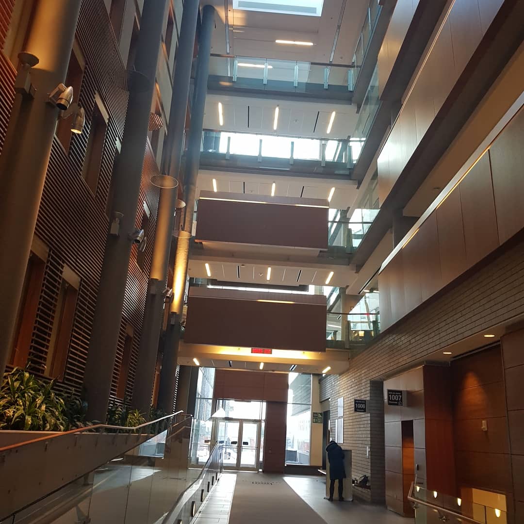 Nicolas Toex tweet media