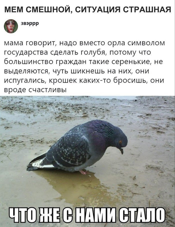 D4H18H0WAAIe_kP?format=jpg&name=medium