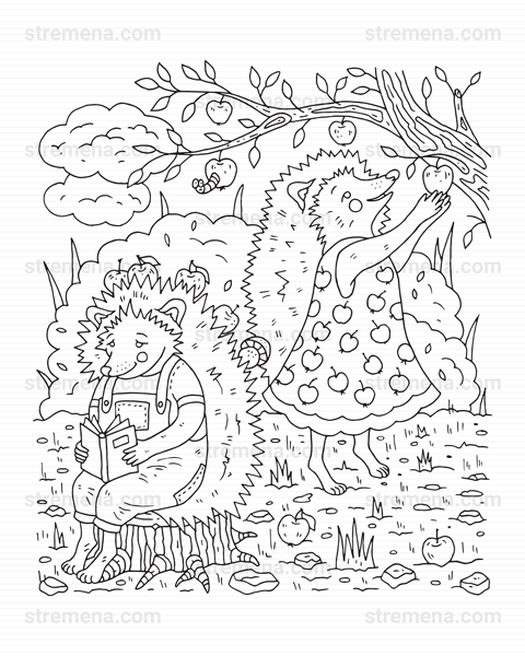 strem_art's tweet photo. A Sunday like no other. #coloringpages at https://t.co/EPWEj96GIM
#nature #illustration #ausmalen #printathome #hedgehoglove #hedgehog #animalcoloring #coloringsheets #ausmalbilder #coloration #natur #pdfprintable #Igel #erizo https://t.co/ejD92Wpw5C
