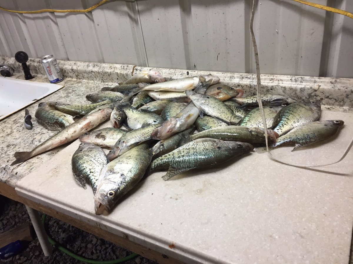 Crappie made me work for em