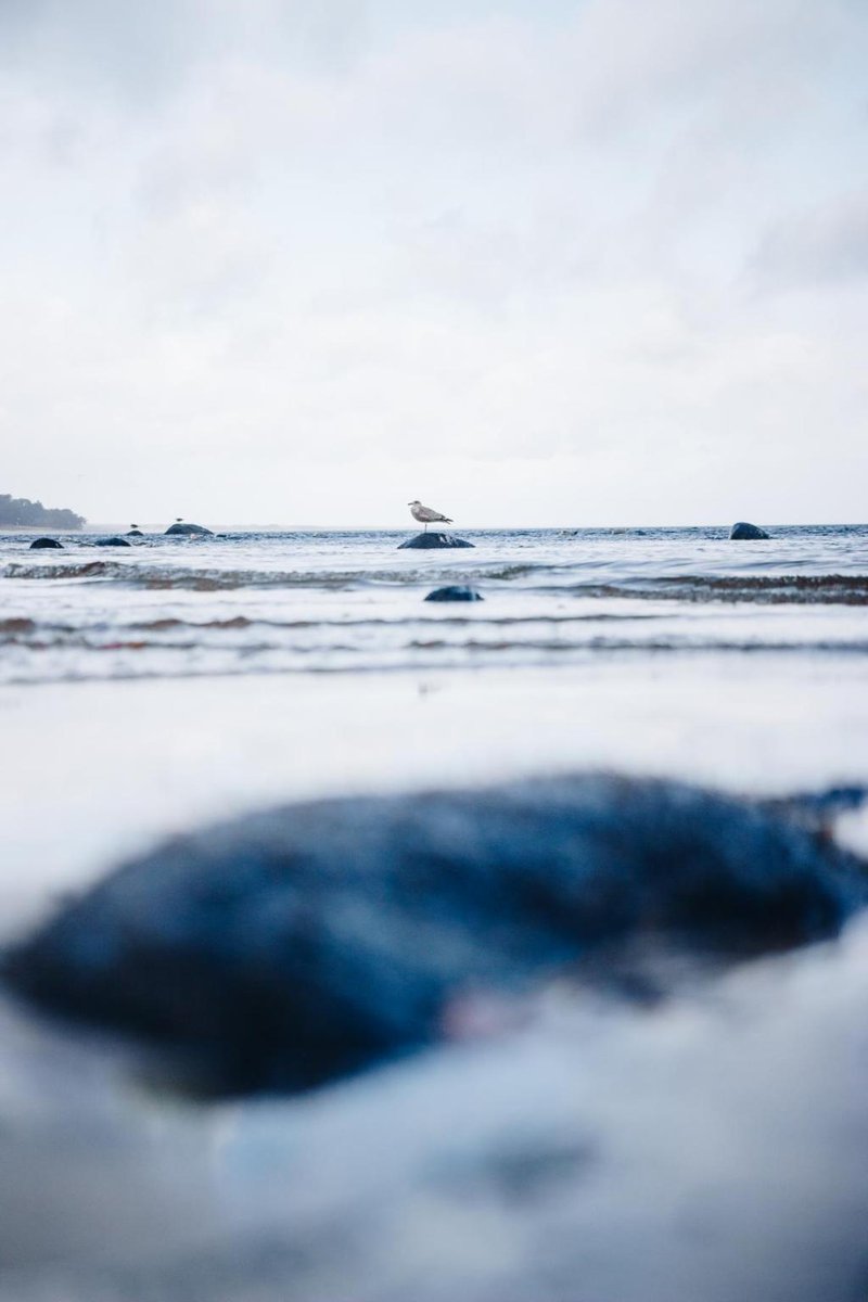 Der Südosten von Skåne in einem Tag! | Roadtrips in Schweden voyas.net/2019/04/14/der…